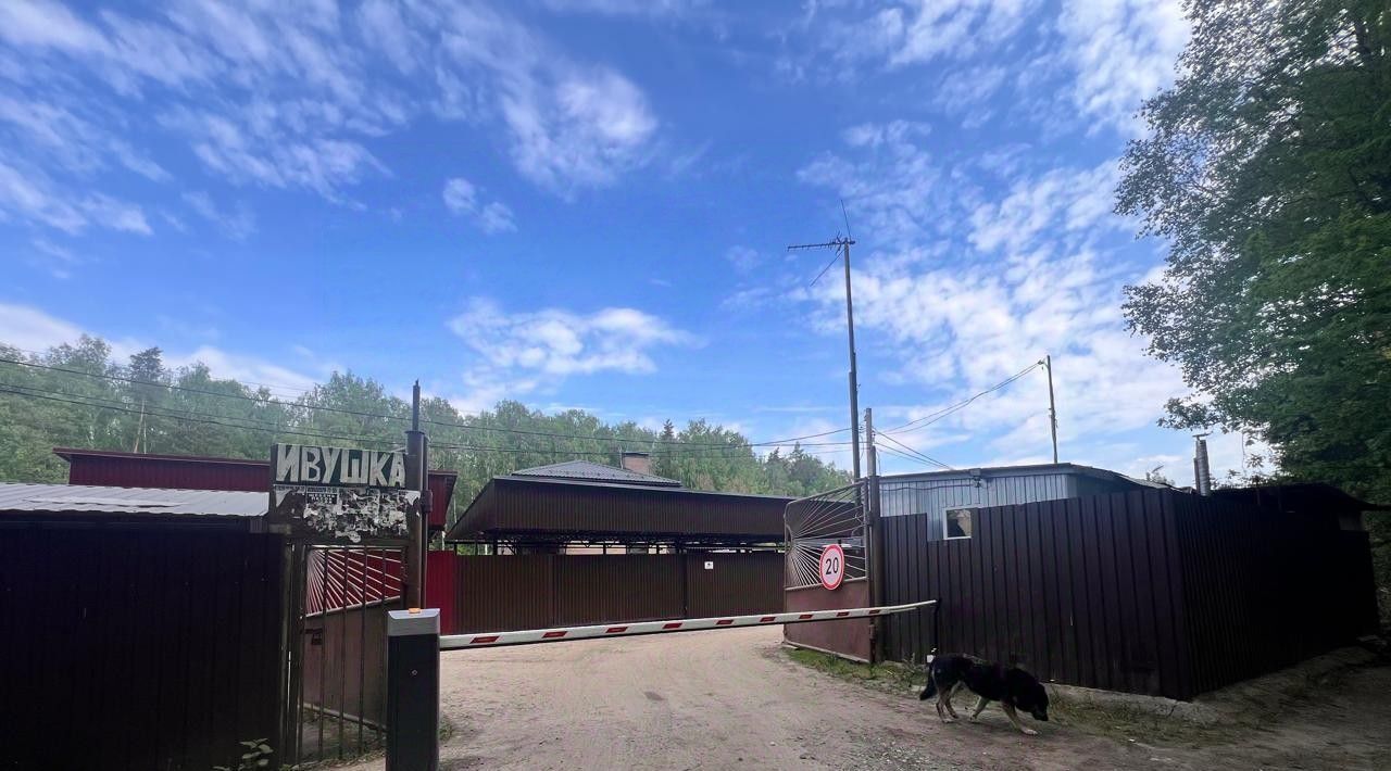 дом городской округ Богородский г Ногинск снт Ивушка 11 фото 19