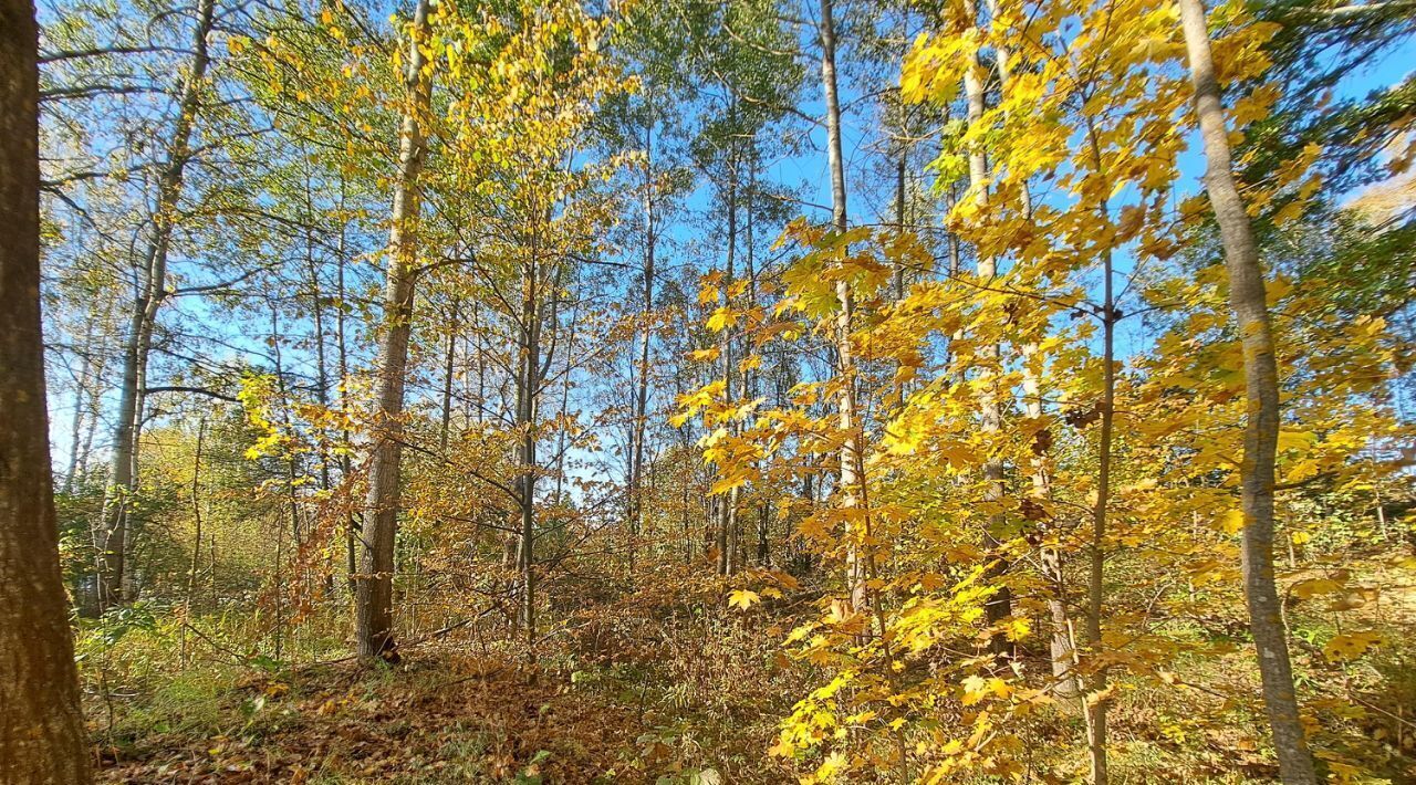 офис г Кашира д Завалье-1 фото 1