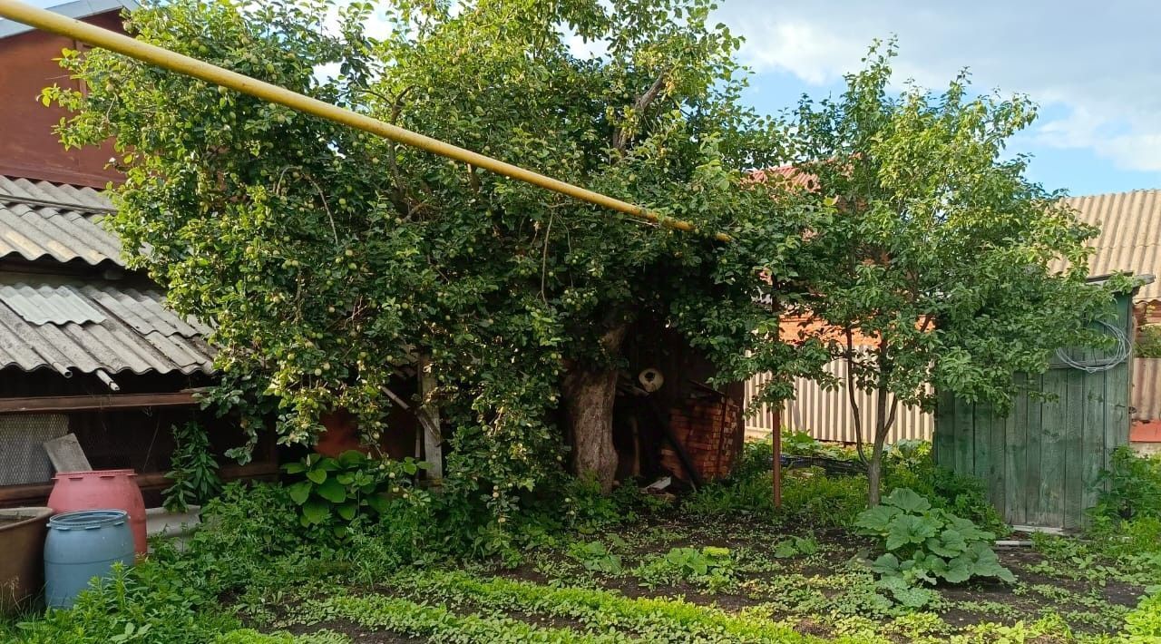 дом г Рассказово ул Дружбы 30 фото 14