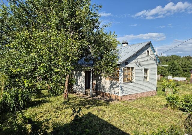 117 км, 3-я поляна, Шаховская, Новорижское шоссе, садовое товарищество Горизонт фото