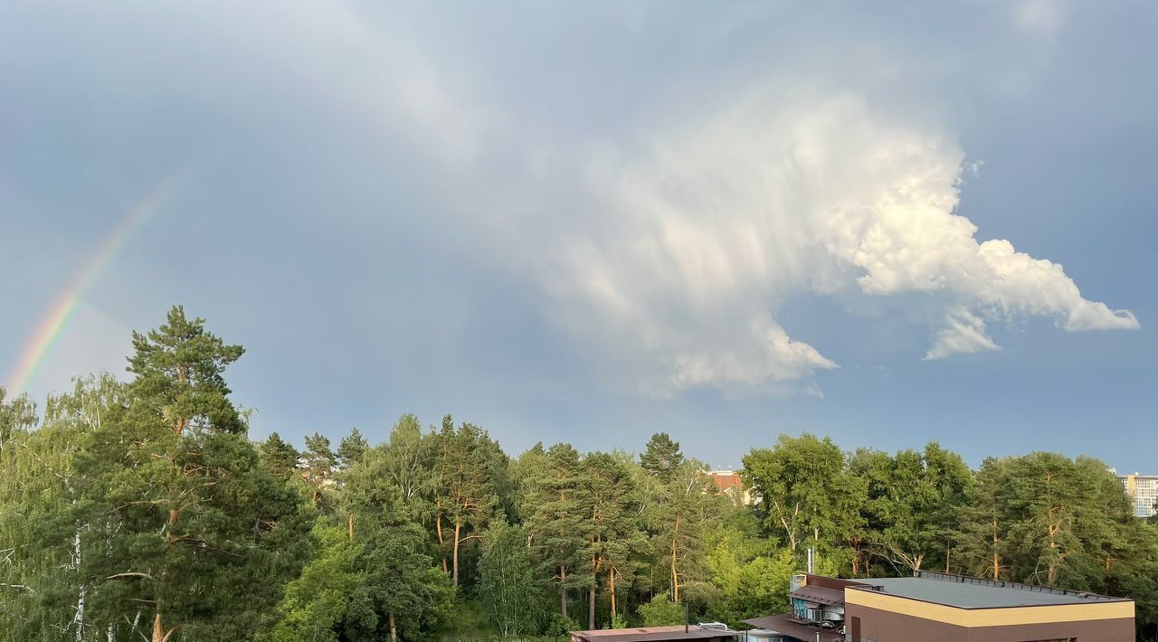 квартира г Саров ул Садовая 72 фото 26