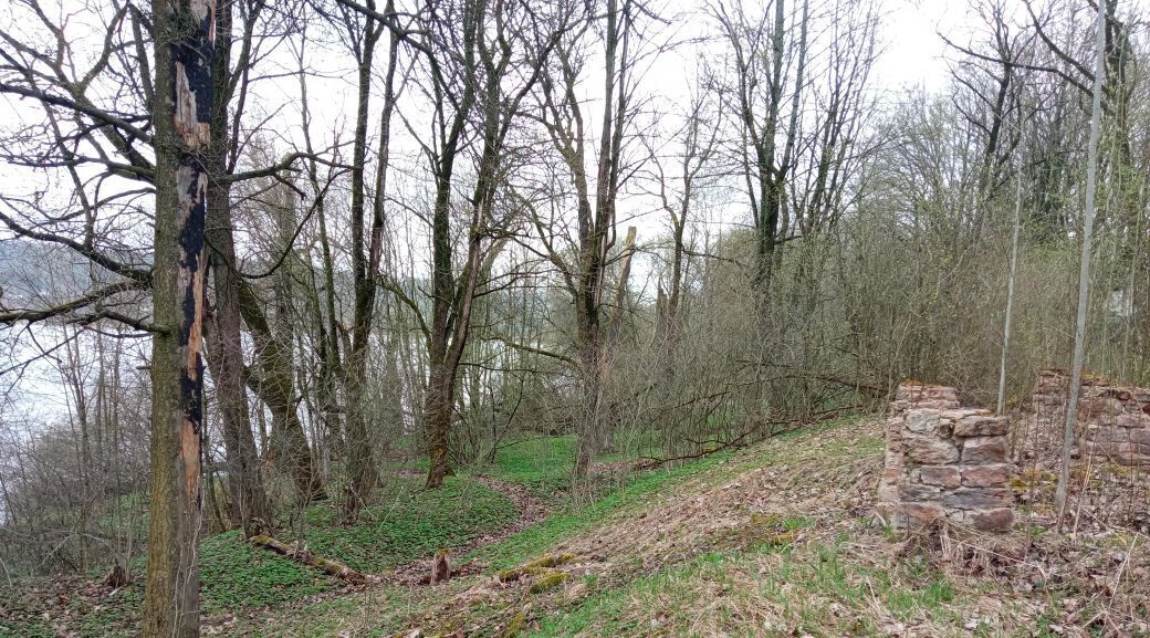 офис г Красное Село ш Гатчинское 56в метро Проспект Ветеранов фото 9