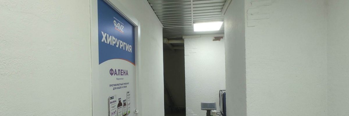 свободного назначения г Балашиха проезд Ласточкин 8с/10 Новокосино фото 13