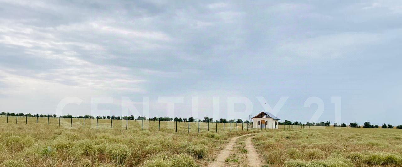 земля г Евпатория пгт Новоозерное пл. Центральная фото 4