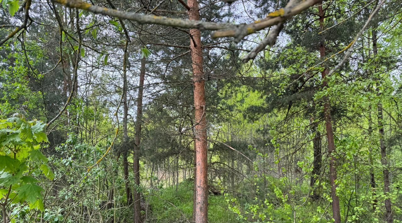 офис городской округ Богородский г Электроугли Железнодорожная фото 2