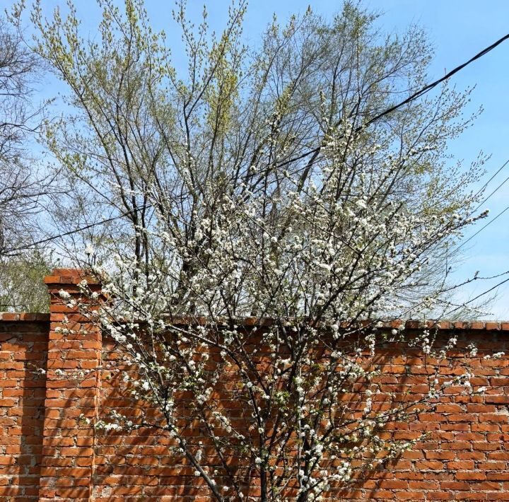 дом г Хабаровск р-н Железнодорожный ул Вяземская 48 фото 26