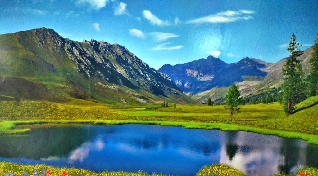 комната г Феодосия с Береговое ул Садовая 50 фото 15