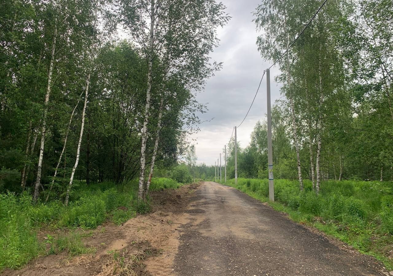 земля городской округ Пушкинский г Красноармейск 33 км, 6, СНТ Южный, Ярославское шоссе фото 1