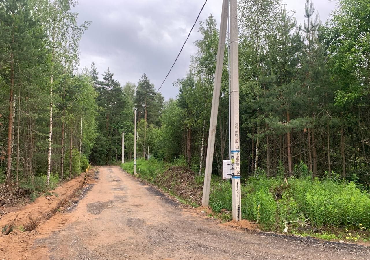 земля городской округ Пушкинский г Красноармейск 33 км, 6, СНТ Южный, Ярославское шоссе фото 8