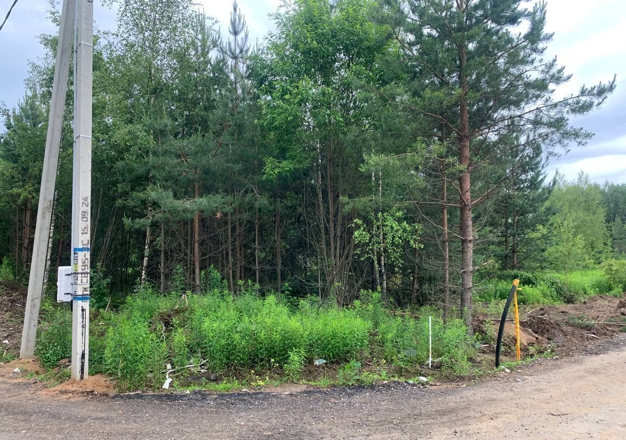 земля городской округ Пушкинский г Красноармейск 33 км, 6, СНТ Южный, Ярославское шоссе фото 9