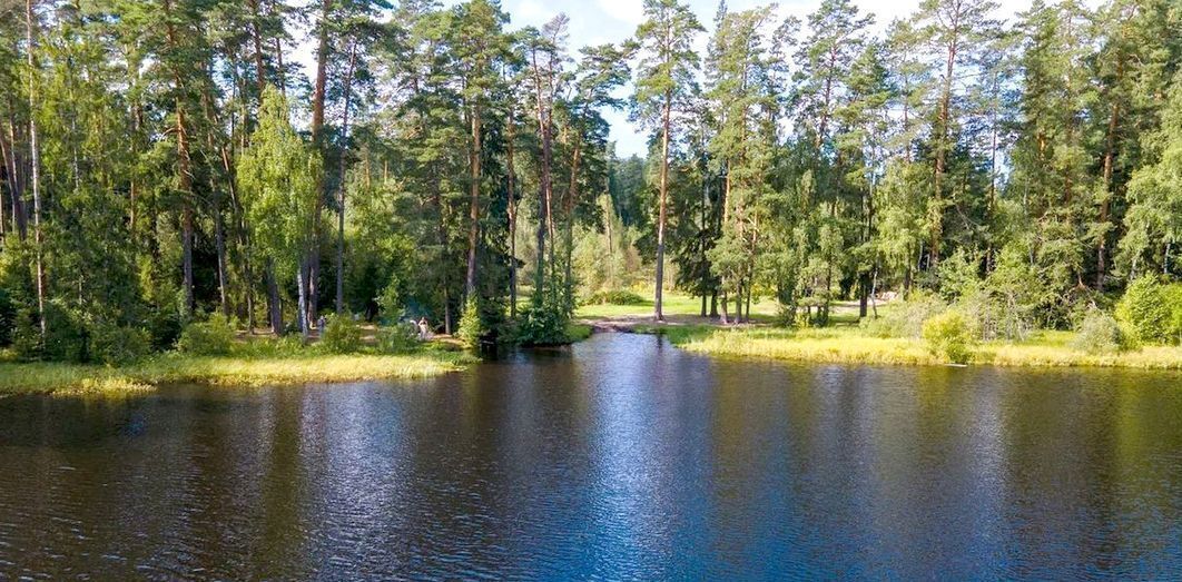 земля городской округ Пушкинский г Красноармейск 32 км, 22, СНТ Сосны, Ярославское шоссе фото 6