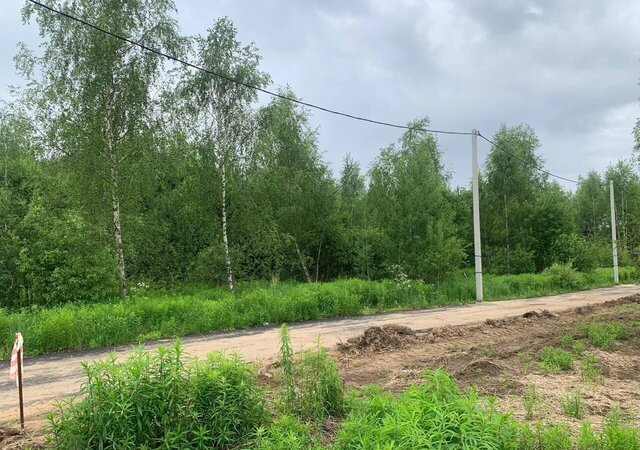 днп Престиж 29 км, 75, Фрязино, Фряновское шоссе фото