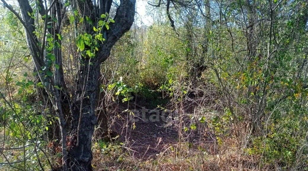 земля г Горячий Ключ ст-ца Саратовская фото 8