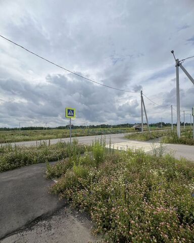 Бор, д. Варначево фото