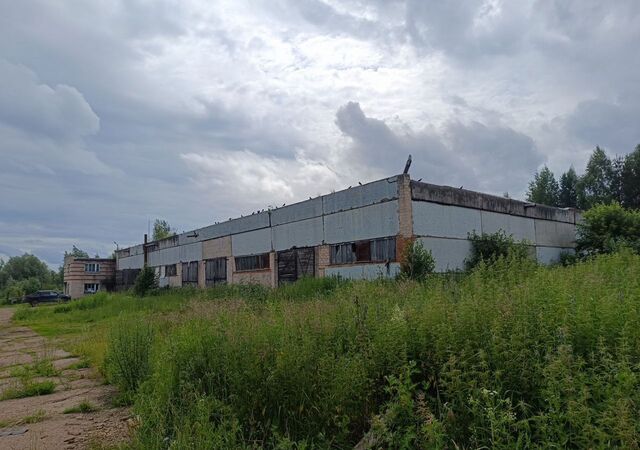 г Чайковский с Ваньки ул Молодежная фото