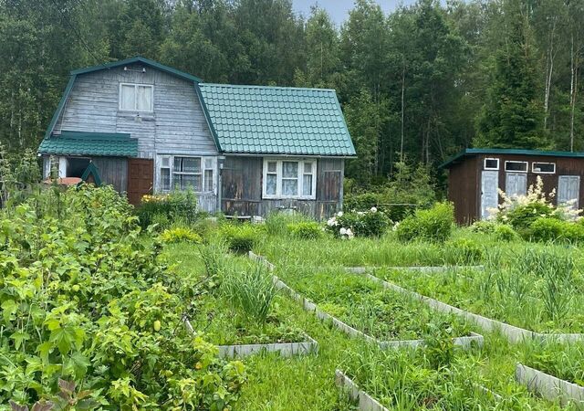 д Бухолово р-н Октябрьский 253 фото