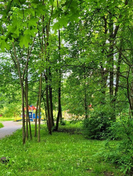 квартира г Пушкин метро Купчино ул Железнодорожная 68 фото 27
