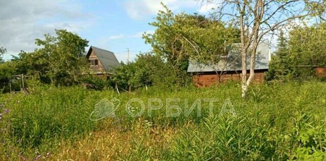 снт Нива ул Урожайная 351 фото