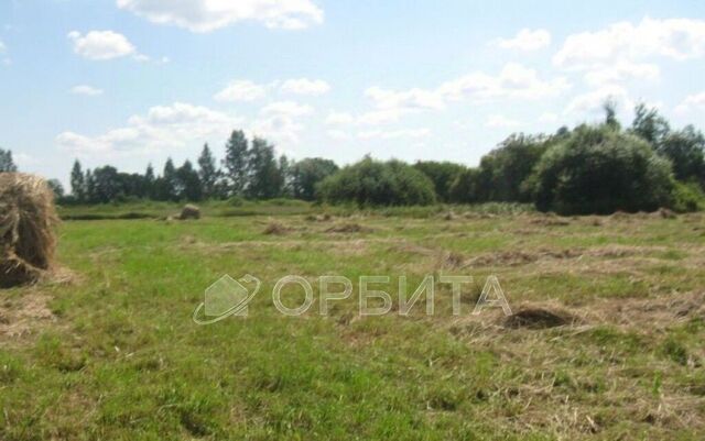 снт Нива ул Урожайная 351 фото