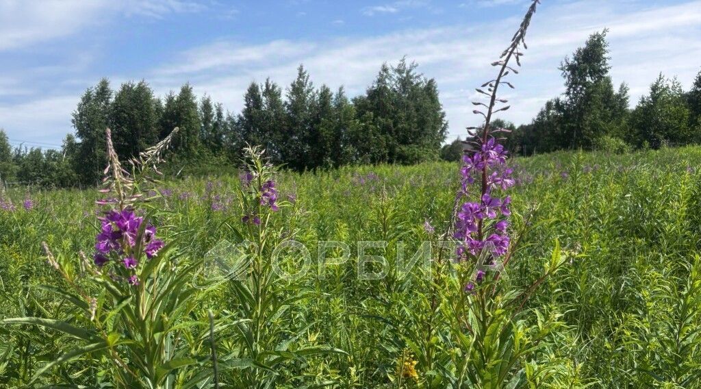 земля г Тюмень р-н Ленинский ул Волжская фото 2