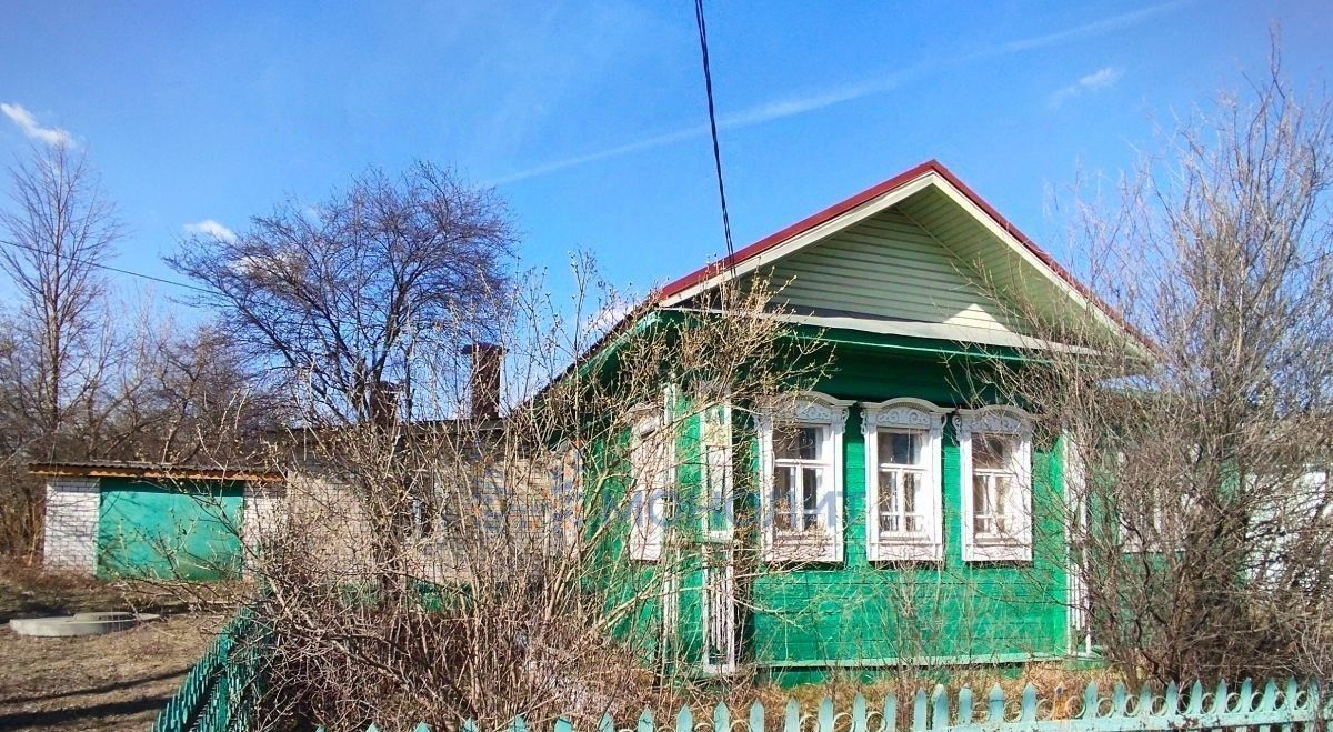 дом г Дзержинск Бабушкино тер., ул. Фрунзе, 46 фото 1