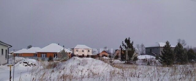 д Паренкина Новый горизонт кп фото