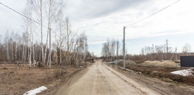 Панин Бугор тер., ул. Кедровая, 36 фото