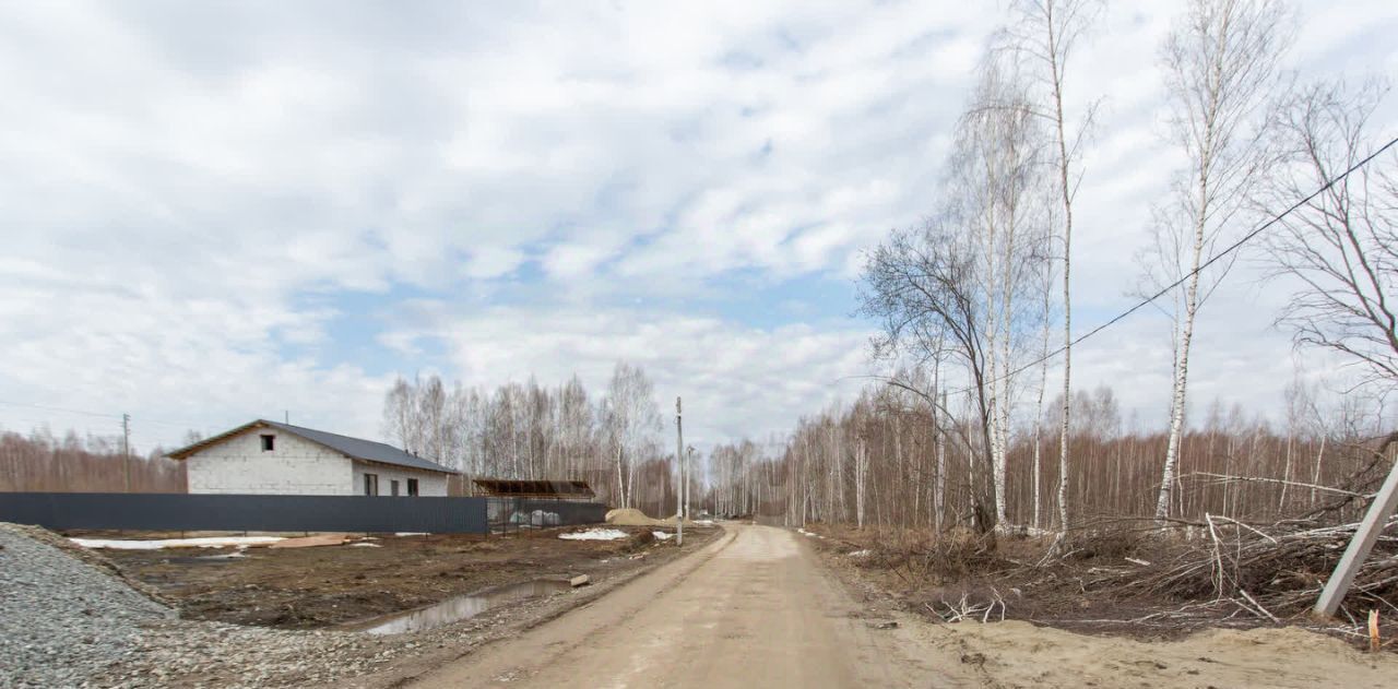земля г Тобольск Панин Бугор тер., ул. Кедровая, 36 фото 3