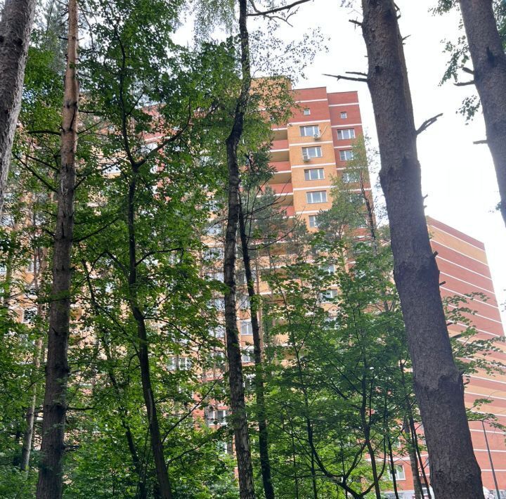 квартира городской округ Наро-Фоминский г Апрелевка ул Дубки 17 Апрелевка фото 2