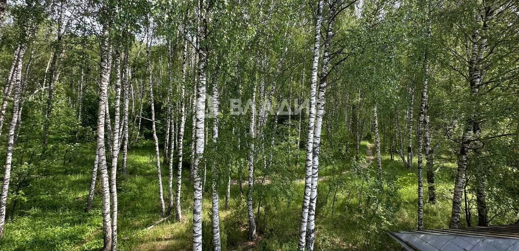 дом г Шахунья Комсомольская, Строитель, уч 261, Богородский муниципальный округ, садоводческое товарищество фото 2
