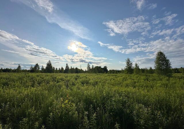 р-н мкр Шерстнево Поле фото