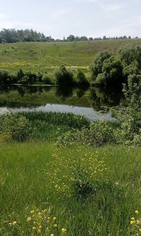 земля р-н Плавский д Ивановка р-н Куркинский, Куркино, сельское поселение Михайловское фото