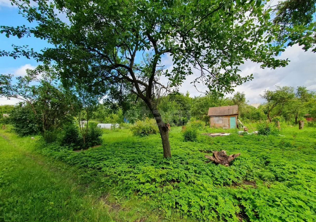земля г Брянск р-н Советский садоводческое объединение Коммунальник фото 3