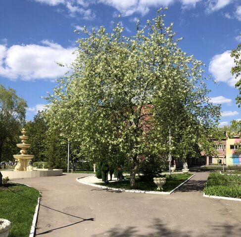 комната ул Красная 19 фото