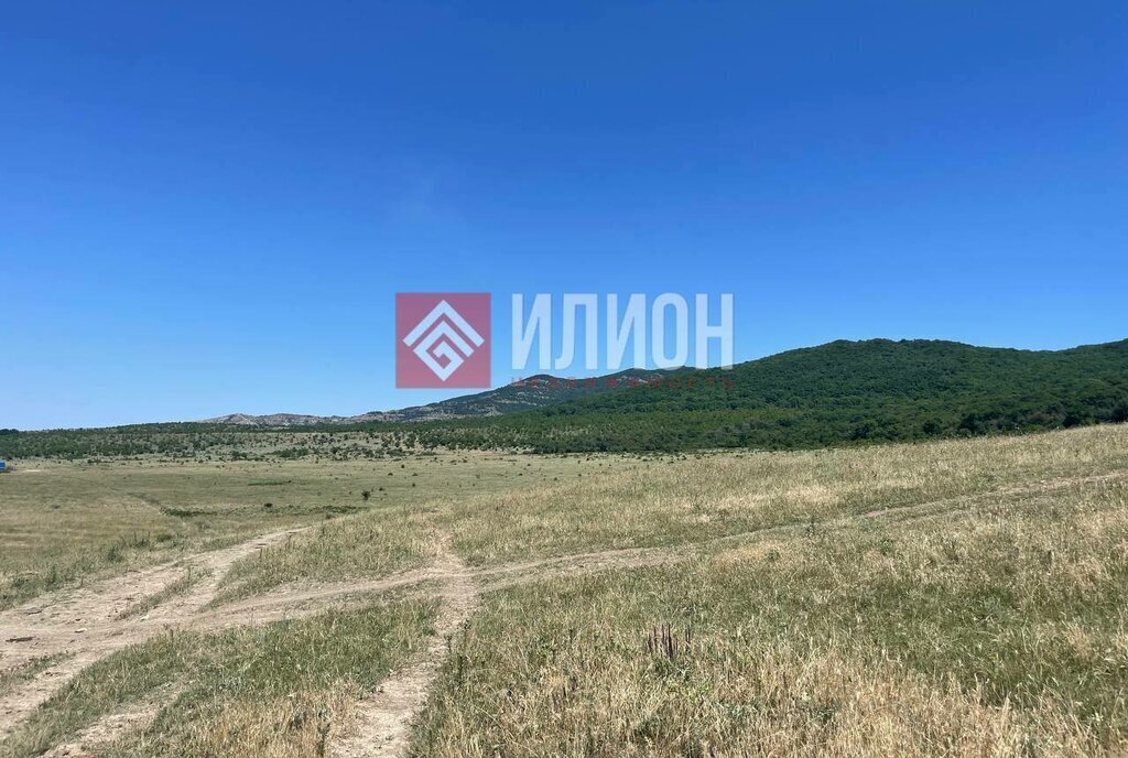 земля г Судак с Грушевка фото 9