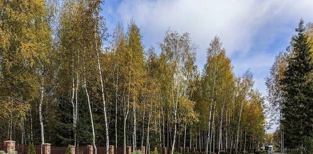 ЖК Руза Фэмили Парк Жилого комплекса Изумрудный Город тер фото