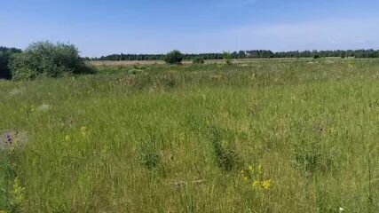 ул Солнечная деревня Зименки Шалдежский сельсовет фото
