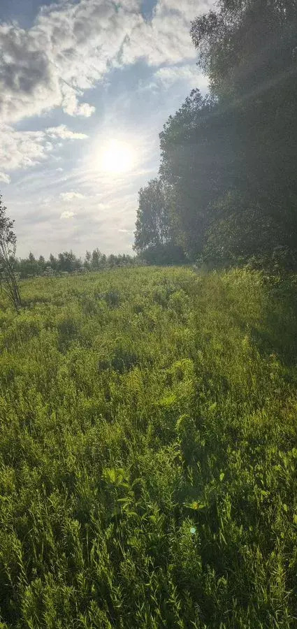 земля г Тула д Алешня р-н Привокзальный ул Садовая Ленинский фото 3