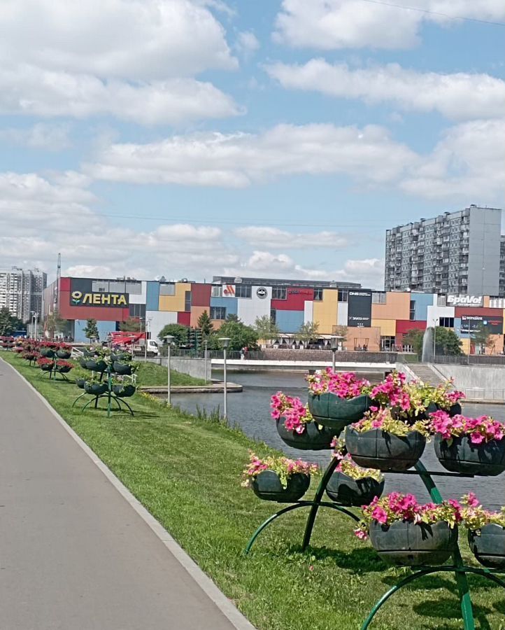 квартира г Москва метро Борисово ул Борисовские Пруды 18к/1 муниципальный округ Братеево фото 36