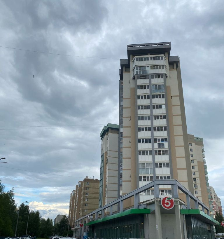 квартира г Нижний Новгород Аэродромный ул Космическая 51 фото 1