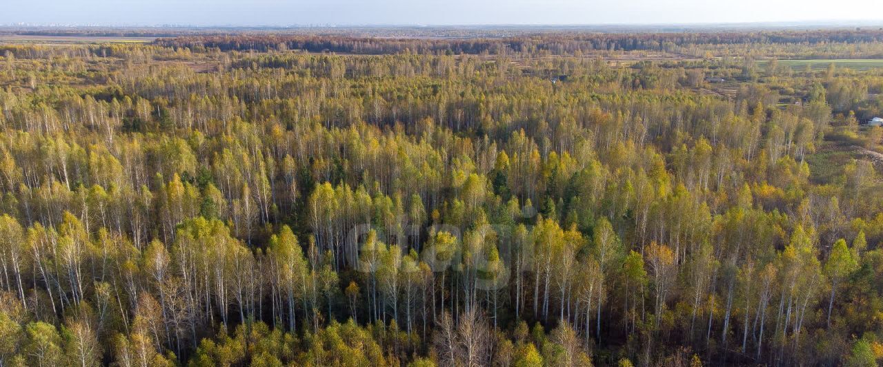 земля г Тюмень снт Светлое фото 10