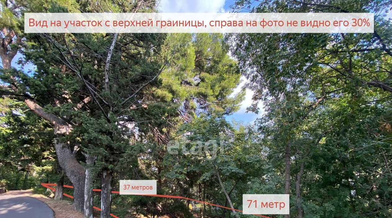 земля г Ялта пгт Кореиз фото 3