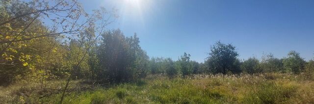 ул Головатого 21 Казачкинское муниципальное образование фото