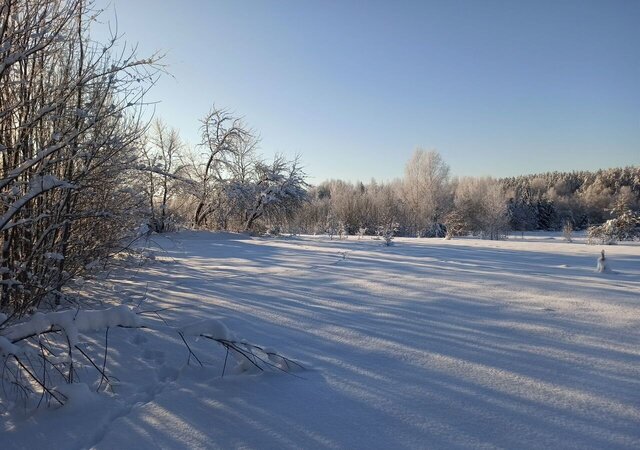 городское поселение Пушкиногорье, Пушкинские Горы фото