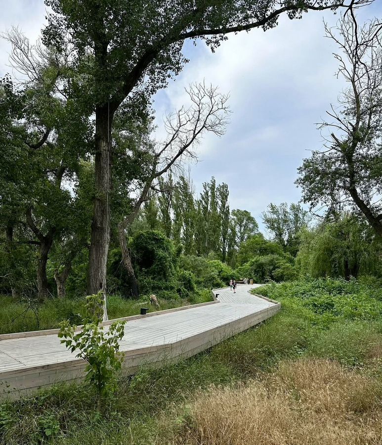 квартира г Махачкала р-н Кировский Благородная ул., 17 фото 13