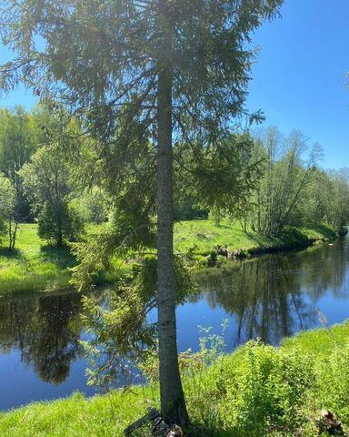 земля дп. Мулино, Вологда фото