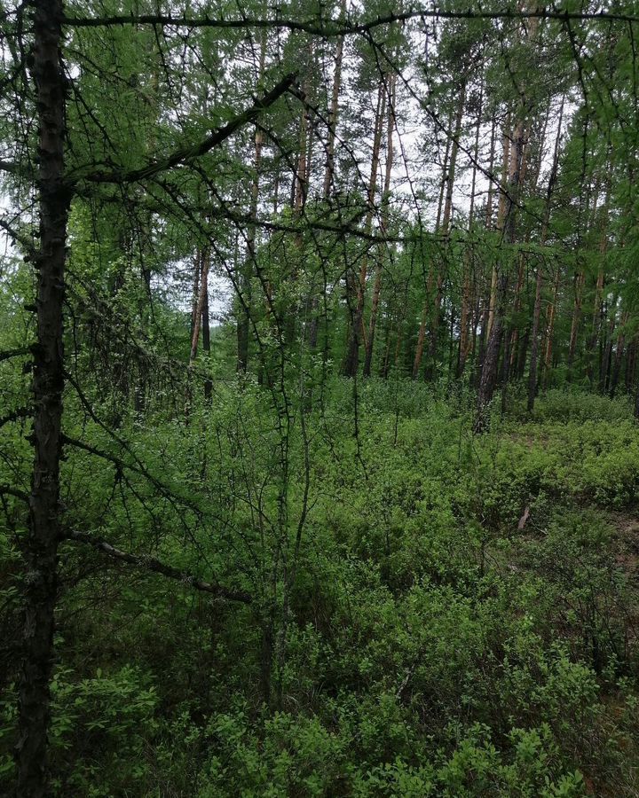 дом р-н Нерюнгринский г Нерюнгри пр-кт Дружбы Народов муниципальное образование Нерюнгри фото 33