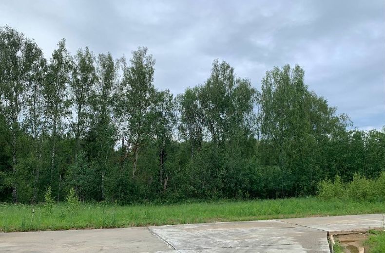 земля г Солнечногорск ул Куйбышева 8 22 км, городской округ Солнечногорск, Менделеево, Ленинградское шоссе фото 7
