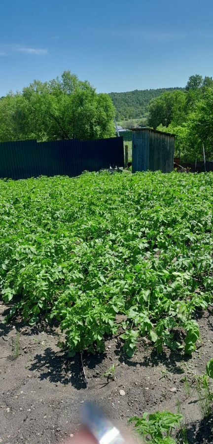 земля г Благовещенск садовые участки фото 4
