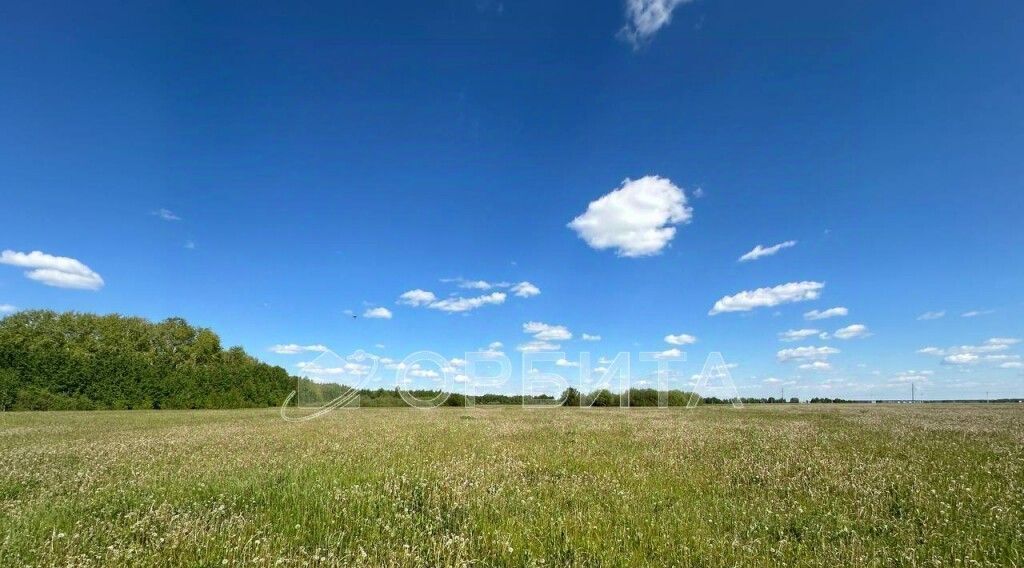 земля г Тюмень р-н Ленинский Грин Парк кп фото 4